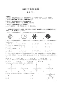 2025 年长沙中考数学适应性试卷三