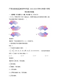 广西壮族自治区崇左市宁明县2023-2024学年七年级下学期期末数学试卷(解析版)