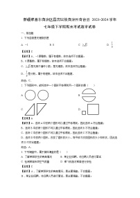 新疆维吾尔自治区昌吉回族自治州奇台县2023-2024学年七年级下学期期末考试数学试卷（解析版）