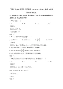 广西壮族自治区百色市田阳区2023-2024学年七年级下学期期末数学试卷(解析版)