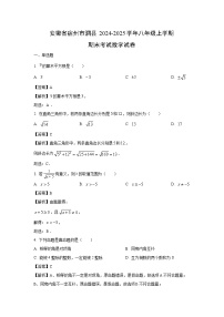 安徽省宿州市泗县2024-2025学年八年级上学期期末考试数学试卷（解析版）