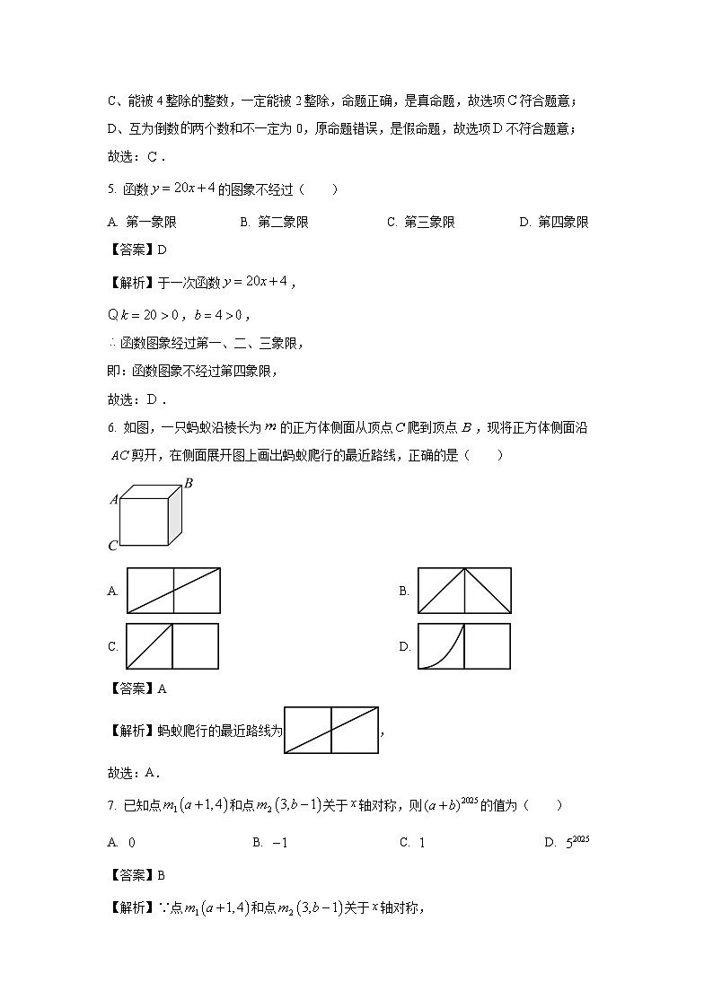 安徽省宿州市泗县2024-2025学年八年级上学期期末考试数学试卷(解析版)第2页