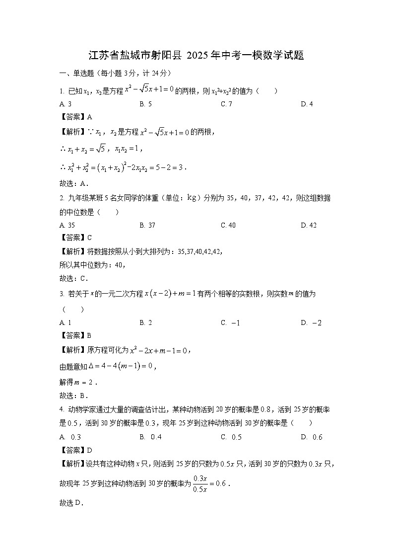 江苏省盐城市射阳县2025年中考一模数学试卷(解析版)第1页