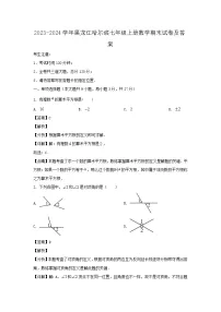 2023-2024学年黑龙江哈尔滨七年级上册数学期末试卷及答案
