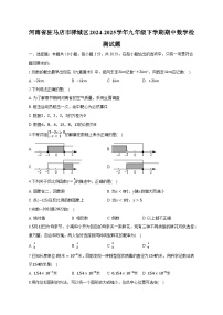 河南省驻马店市驿城区2024-2025学年九年级下学期期中数学检测试题（附答案）