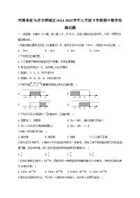 河南省驻马店市驿城区2024-2025学年九年级下学期期中数学检测试题（附答案）