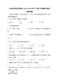 山东省济南市莱芜区2024-2025学年八年级下学期期中数学检测试题（附答案）