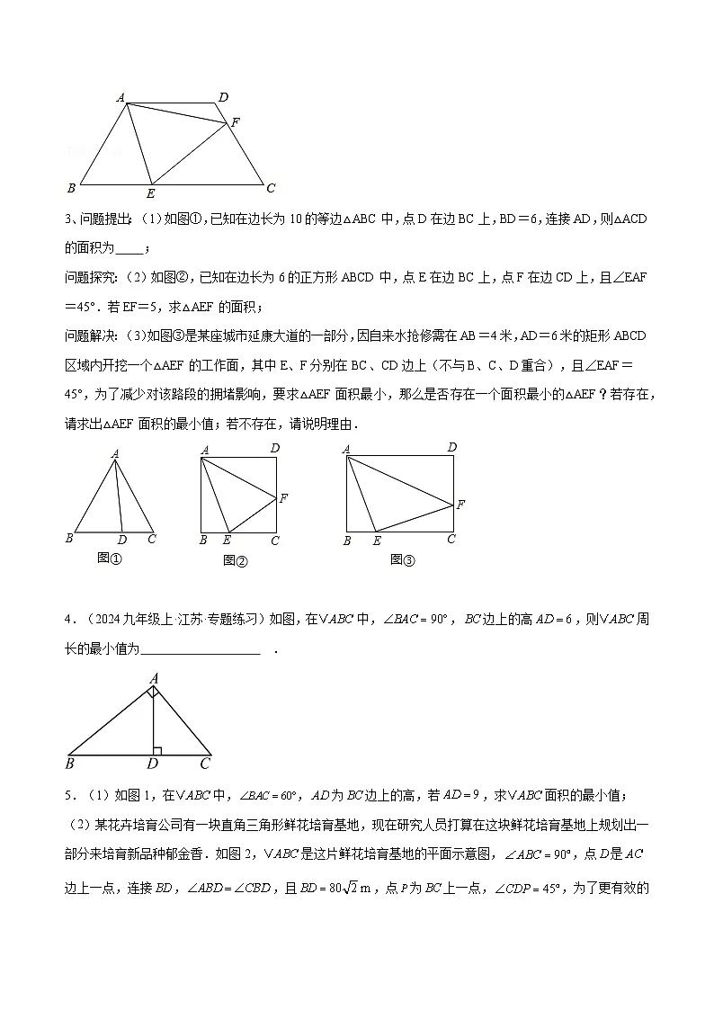 备战2025年中考数学压轴专项(江苏专用)压轴专题09定角定高模型(学生版)第3页