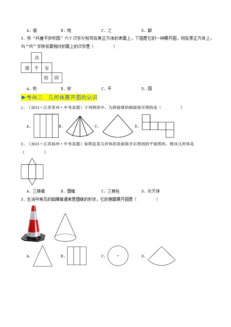 备战2025年中考数学真题汇编特训(江苏专用)专题10几何图形初步、相交线与平行线(原卷版)第2页