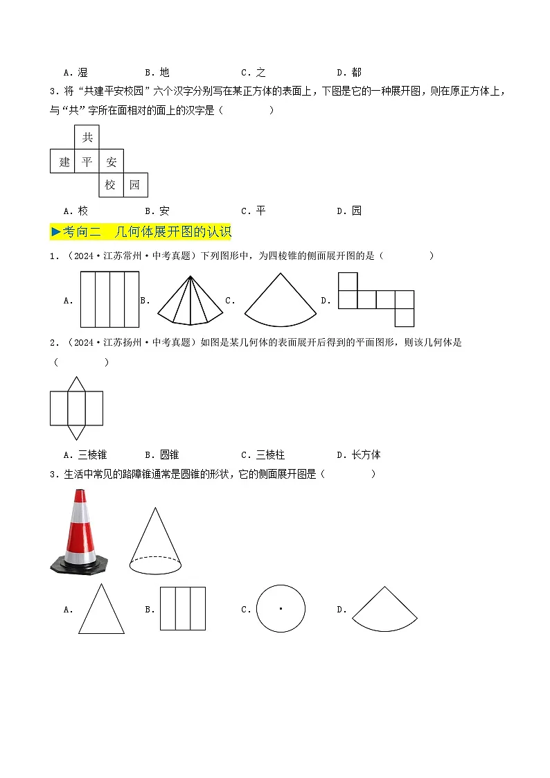 备战2025年中考数学真题汇编特训(江苏专用)专题10几何图形初步、相交线与平行线(原卷版)第2页