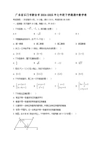 广东省江门市新会市2024-2025年七年级下学期期中数学卷（含答案）