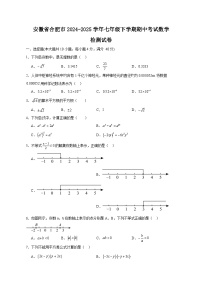 安徽省合肥市2024-2025学年七年级下学期期中考试数学检测试卷（含答案）
