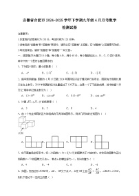 安徽省合肥市2024-2025学年下学期九年级4月月考数学检测试卷（含答案）