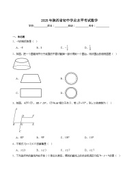 陕西省2025届初中学业水平考试数学试卷(含解析)