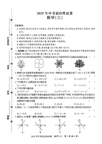 2025年长沙市中考数学适应性试卷(三) 2025年中考数学适应性试卷(三)