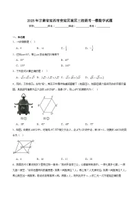 甘肃省定西市安定区城区三校联考2025届九年级下学期中考一模数学试卷(含解析)