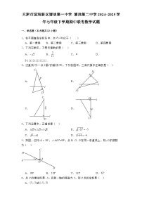 天津市滨海新区塘沽第一中学塘沽第二中学2024-2025学年七年级下学期期中联考 数学试题（含解析）