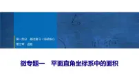 2025年中考数学总复习课件(山东省专用)13 第一部分 第三章 微专题一 平面直角坐标系中的面积