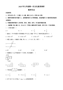 2025年河南省南阳市西峡县中考一模数学试题（原卷版+解析版）（中考模拟）