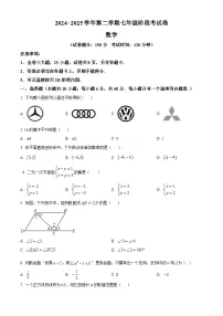 福建省厦门外国语学校2024-2025学年七年级下学期期中考试数学试题(原卷版+解析版)
