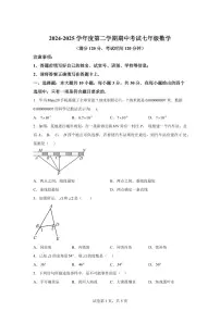 2024-2025学年广东省茂名市电白区七年级下学期期中考试数学试题(含答案)