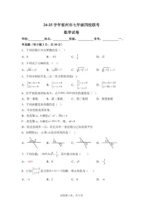 2024-2025学年广东省湛江市雷州市四校联考七年级下学期4月期中数学试题（含答案）
