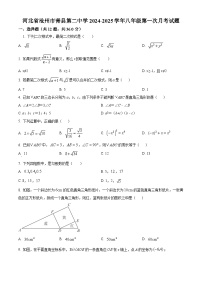 河北省沧州市青县第二中学2024-2025学年八年级下学期3月月考数学试题（原卷版+解析版）
