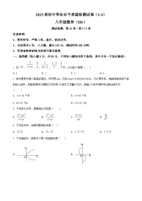 河南省新乡市原阳县2024-2025学年八年级下学期3月月考数学试题（原卷版+解析版）