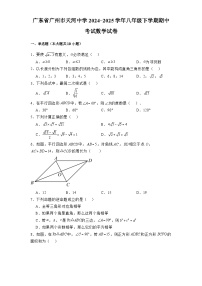 广东省广州市天河中学2024-2025学年八年级下学期期中考试 数学试卷（含解析）