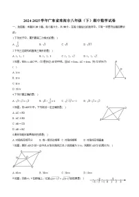 广东省珠海市2024-2025学年八年级下学期期中 数学试卷（含解析）