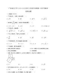 广东省江门市2024-2025学年八年级下学期第一次月考数学检测试题(含答案)
