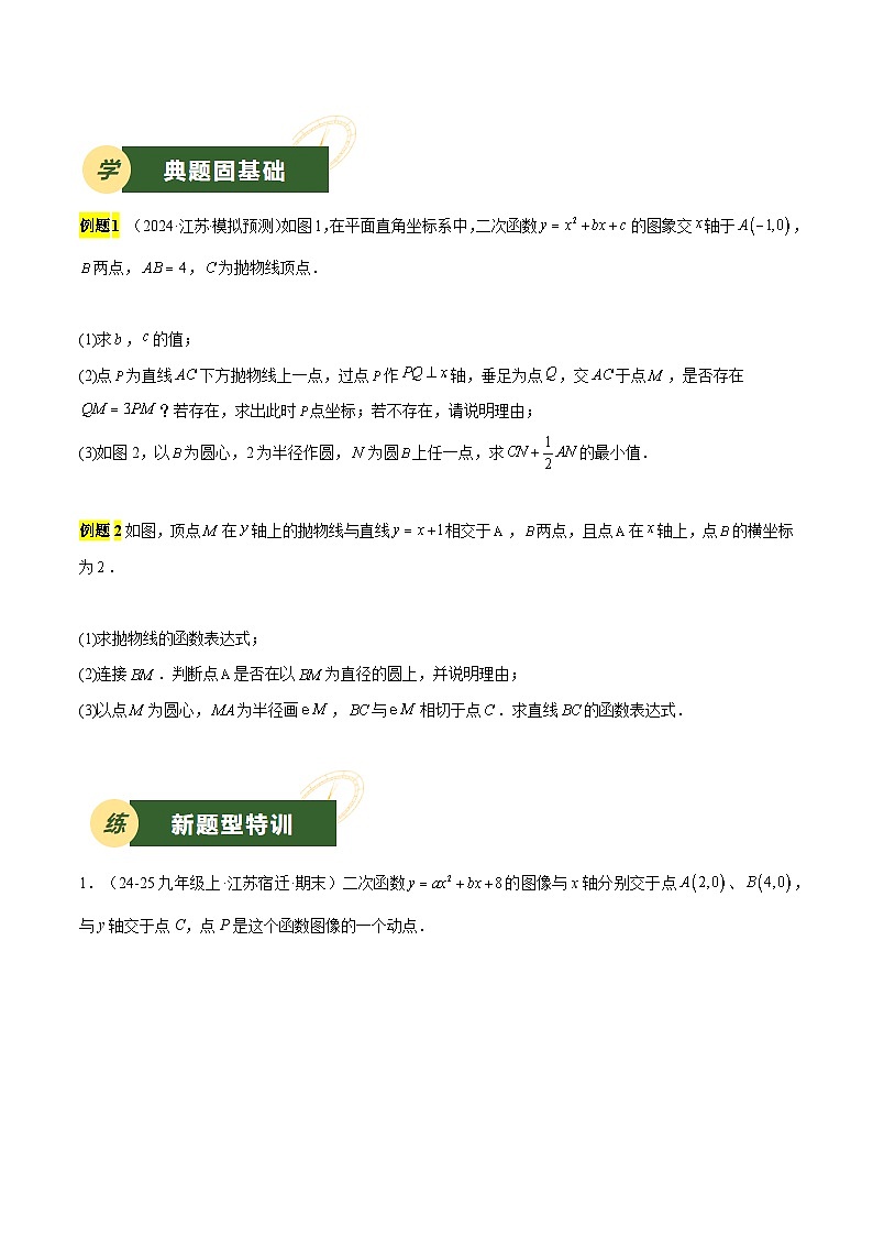 2025年中考数学压轴专题汇编(江苏专用)压轴专题06二次函数(与圆结合问题)(原卷版)第3页