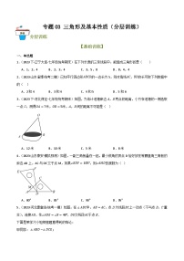 2025年中考数学总复习 专题03 三角形及基本性质（分层训练）(原卷版+解析版）