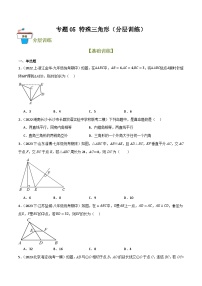 2025年中考数学总复习 专题05 特殊三角形（分层训练）(原卷版+解析版）
