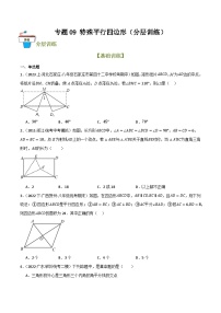 2025年中考数学总复习 专题09 特殊平行四边形（分层训练）(原卷版+解析版）