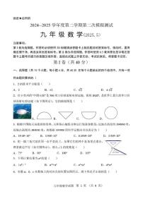 2025年山东省济南市南山区九年级二模数学试题(中考模拟)