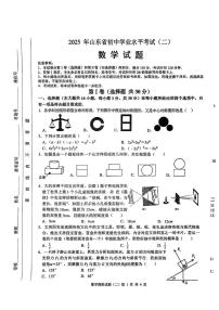 2025年山东省临沂郯城县初中学业水平考试(二) 数学试题（中考模拟）
