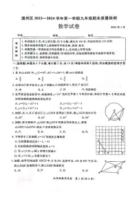 2024北京通州初三（上）期末数学试卷（含答案）