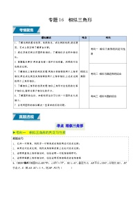 专题16 相似三角形（中考高频题型归纳与训练）试卷（原卷+解析）-备战2025年中考数学真题题源解密（山东专用）