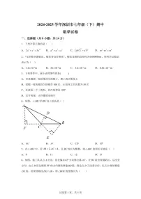 广东省深圳市七年级下学期期中数学检测试卷（含答案）