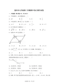 广东省湛江市雷州市七年级下学期4月期中考试数学检测试题（含答案）