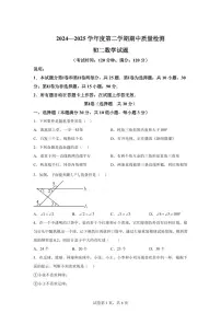 山东省青岛市莱西市（五四制）七年级下学期期中考试数学检测试题（含答案）