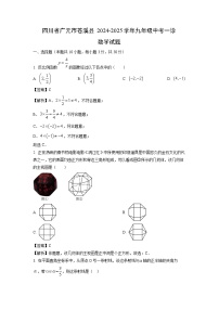 四川省广元市苍溪县2024-2025学年九年级中考一诊数学试题（解析版）