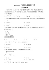 山东省枣庄市滕州市2024-2025学年七年级下学期4月期中考试数学试题（原卷版+解析版）