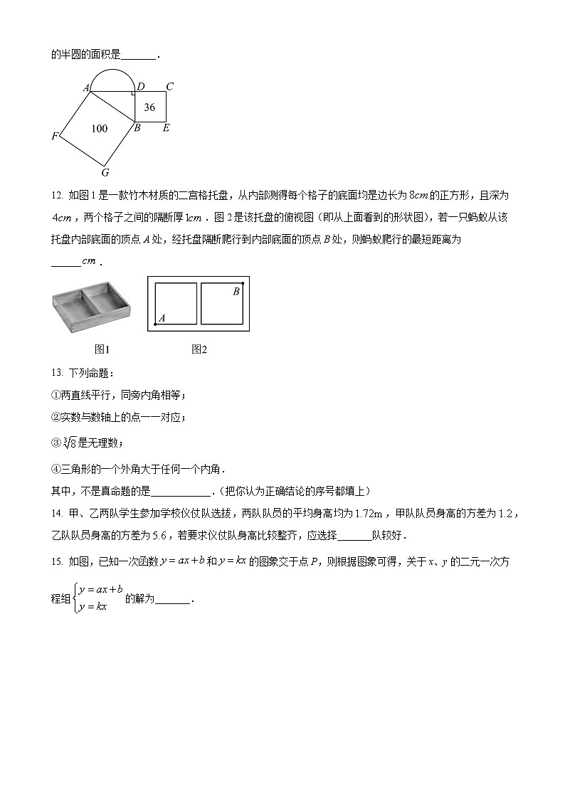 山东省枣庄市峄城区2024-2025学年八年级上学期期末考试数学试题(原卷版+解析版)第3页