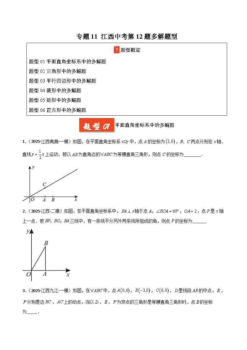 专题11 江西中考第12题多解题型(原卷版)第1页