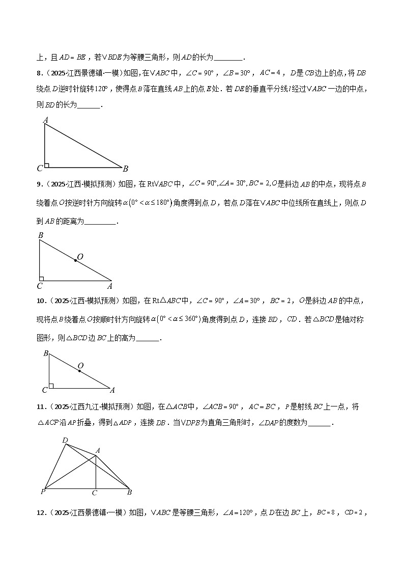 专题11 江西中考第12题多解题型(原卷版)第3页