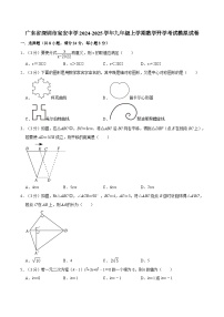 广东省深圳市宝安中学2024-2025学年九年级上学期数学开学考试模拟试卷