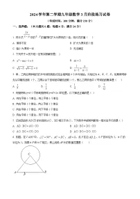 上海市闵行区部分学校2024-2025学年九年级下学期3月考数学试题（原卷版+解析版）