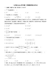 浙江省金华市浦江县实验中学2024-2025学年七年级下学期3月作业检测数学试题（原卷版+解析版）